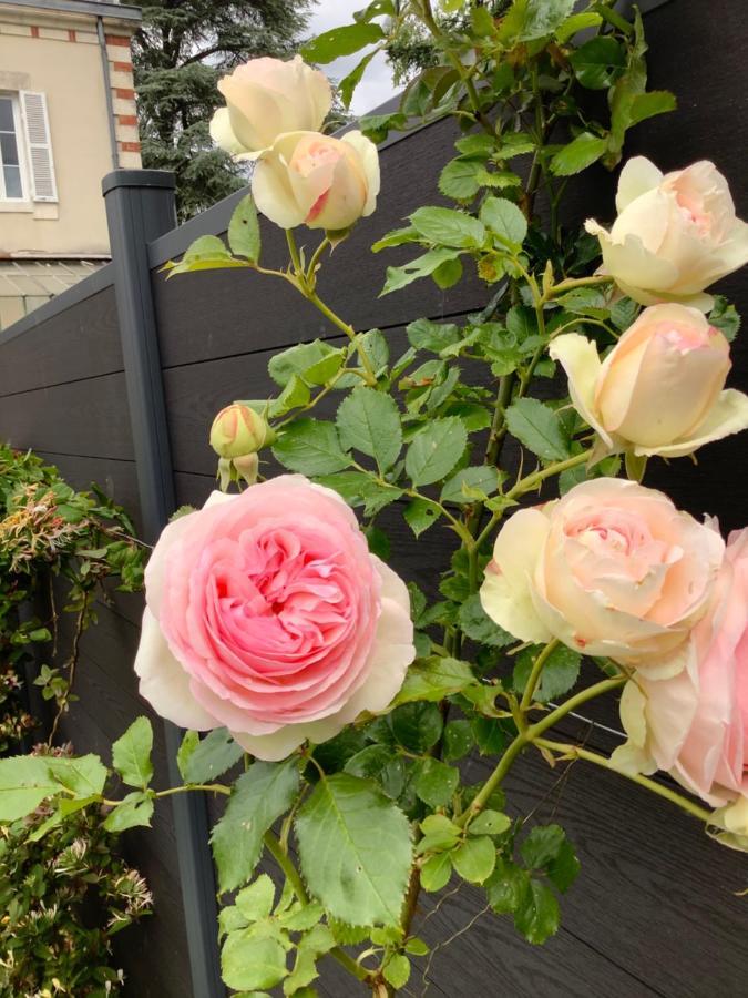 La Renardiere Bourges Buitenkant foto